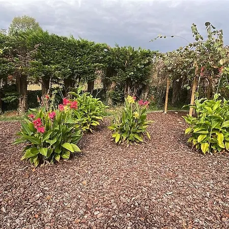 Casa Emilia Ceceda de Abajo
